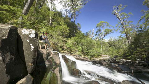 Barrington Tops National Park - Accommodation Adelaide 2