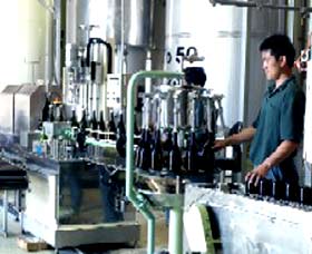 Sun Masamune Sake Brewery - Accommodation Adelaide 2
