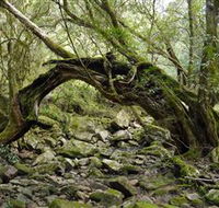 Mitchell River National Park - Accommodation Adelaide