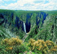 Wollomombi Falls - Accommodation Adelaide