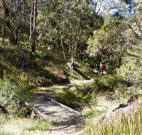 Wollomombi walking track - Accommodation Adelaide