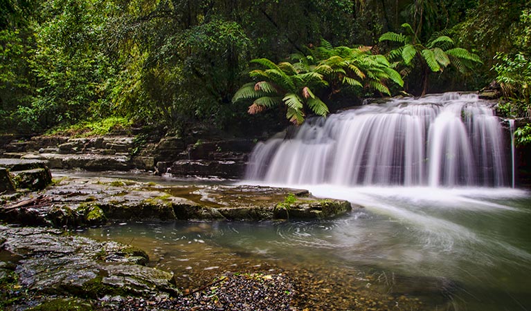 Chichester NSW Accommodation Adelaide