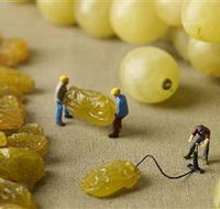 Hunter Valley Wine School - Accommodation Adelaide