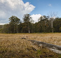 Mummel Gulf National Park - Accommodation Adelaide