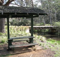 Barrington Tops State Forest - Accommodation Adelaide