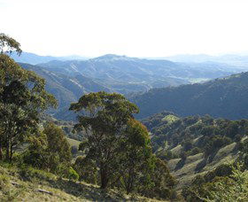 Barrington Tops State Forest - Accommodation Adelaide 2