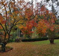 Bellbird Cottage - Accommodation Adelaide