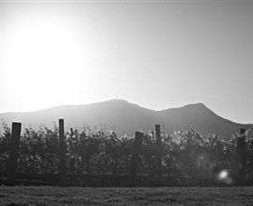 Scarborough Wine Co. - Accommodation Adelaide 1