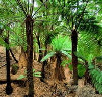 Pegarah Private Nature Reserve  Parenna Place - Accommodation Adelaide