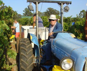 Pokolbin Brothers Wines Hunter Valley - Accommodation Adelaide 1