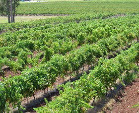 Pokolbin Brothers Wines Hunter Valley - Accommodation Adelaide 0