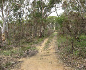 Box Vale Picnic Area - Accommodation Adelaide 4