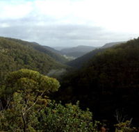 Nattai Gorge Lookout - Accommodation Adelaide