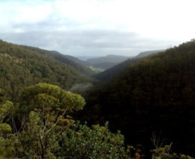 Nattai Gorge Lookout - Accommodation Adelaide 0