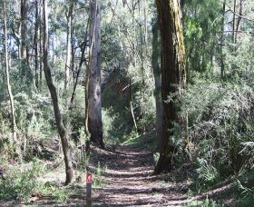 Box Vale Mine Walking Track And Lookout - Accommodation Adelaide 0