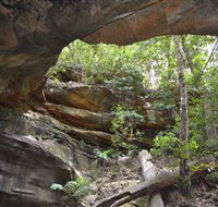 Cave Creek Walking Track - Accommodation Adelaide