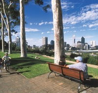 Kings Park and Botanic Garden - Accommodation Adelaide