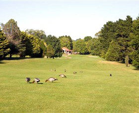 Moss Vale Golf Club - Accommodation Adelaide 2