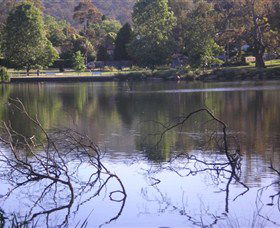 Lake Alexandra Reserve - Accommodation Adelaide 2