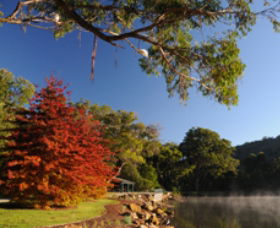 Lake Alexandra Reserve - Accommodation Adelaide 1