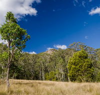 Brush Turkey track - Accommodation Adelaide
