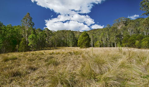 Brush Turkey Track - Accommodation Adelaide 1