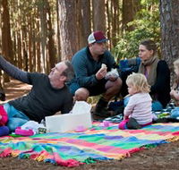 State Forests of the Watagan Mountains - Accommodation Adelaide