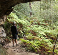 Dharug National Park - Accommodation Adelaide