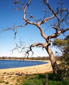 Lake Indoon - Accommodation Adelaide 0