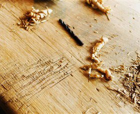 Sally Beresford Antiques/French Farmhouse Tables - Accommodation Adelaide 2