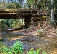 Myrtle Scrub scenic drive - Accommodation Adelaide