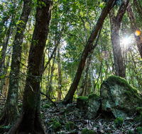 Copeland Tops State Conservation Area - Accommodation Adelaide