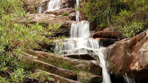 Popran National Park - Accommodation Adelaide 1