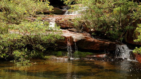 Popran National Park - Accommodation Adelaide 2
