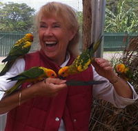 Maleny Botanic Gardens  Bird World - Accommodation Adelaide