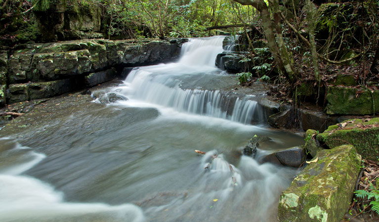 Bandon Grove NSW Accommodation Adelaide