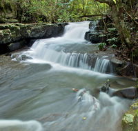 Jerusalem Creek trail - Accommodation Adelaide