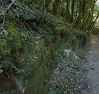 Hidden Treasure track - Accommodation Adelaide