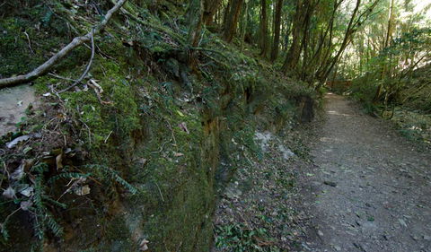 Hidden Treasure Track - Accommodation Adelaide 0