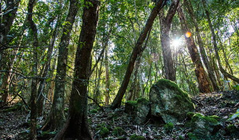 Hidden Treasure Track - Accommodation Adelaide 1