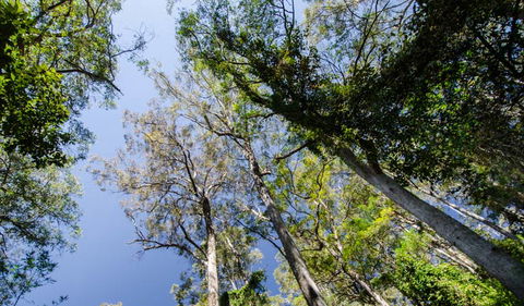 Hidden Treasure Track - Accommodation Adelaide 3