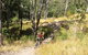The Steps Mountain Bike Park - thumb 2