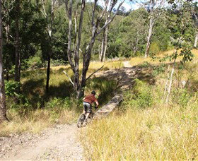 The Steps Mountain Bike Park - Accommodation Adelaide 2