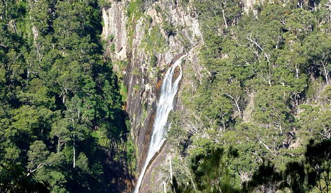 Carrai National Park - Accommodation Adelaide 0