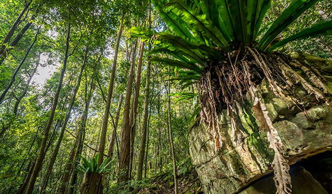 Palm Grove Nature Reserve - Accommodation Adelaide 1