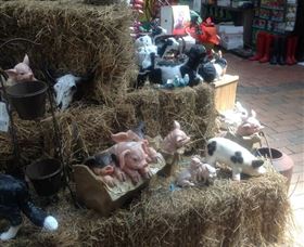 Country Elegance Gardens And Gifts - Accommodation Adelaide 3