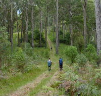 The Green Gully track - Accommodation Adelaide