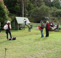 Forest of Tranquillity - Australian Rainforest Sanctuary - Accommodation Adelaide