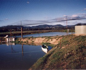 Trudgalong Farm - Accommodation Adelaide 1