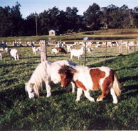 Trudgalong Farm - Accommodation Adelaide